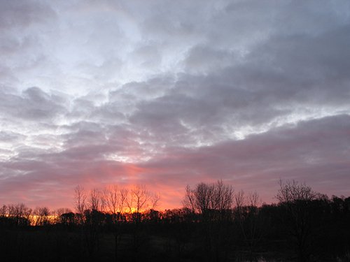Property photo 22 - REAL ESTATE AUCTION, 163+/- Acres offered in 8 Tracts